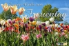 Alles Gute zum Frauentag