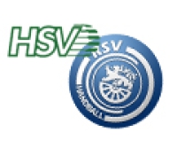 HSV Dresden – Radeberger SV 24:29 (15:12)